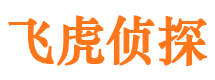 瑞安市调查公司